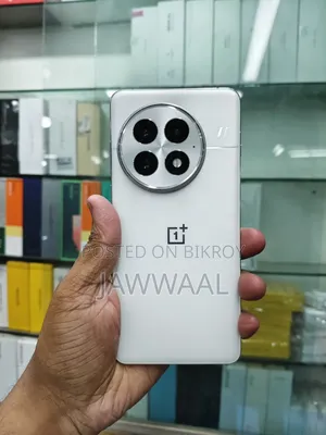 OnePlus 13 256 GB White