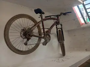 বাই সাইকেল