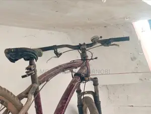 বাই সাইকেল