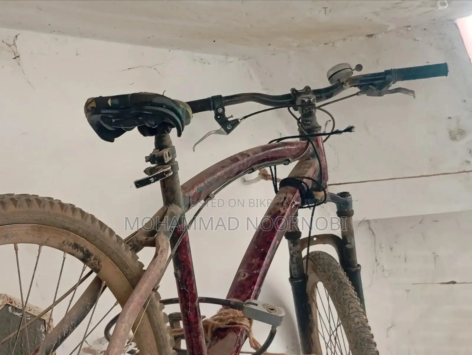 বাই সাইকেল