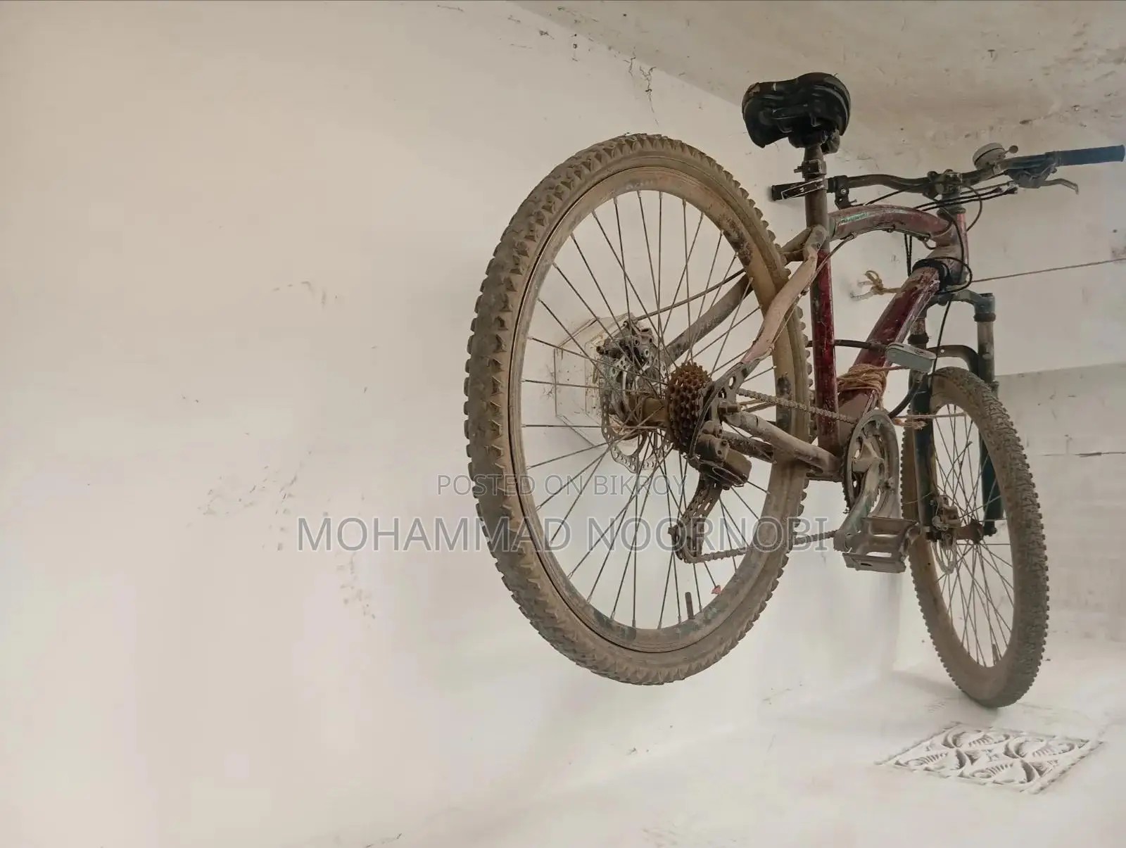 বাই সাইকেল