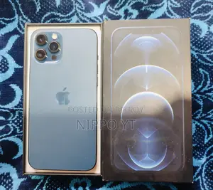 অ্যাপল আইফোন ১২ প্রো ম্যাক্স ২৫৬ জিবি ব্লু