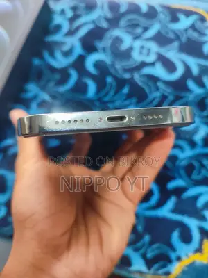 অ্যাপল আইফোন ১২ প্রো ম্যাক্স ২৫৬ জিবি ব্লু