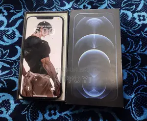 অ্যাপল আইফোন ১২ প্রো ম্যাক্স ২৫৬ জিবি ব্লু