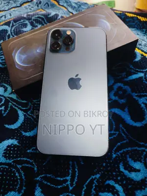 অ্যাপল আইফোন ১২ প্রো ম্যাক্স ২৫৬ জিবি ব্লু