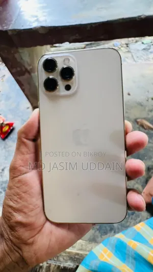 Apple iPhone 12 Pro Max 256 GB Rose Gold