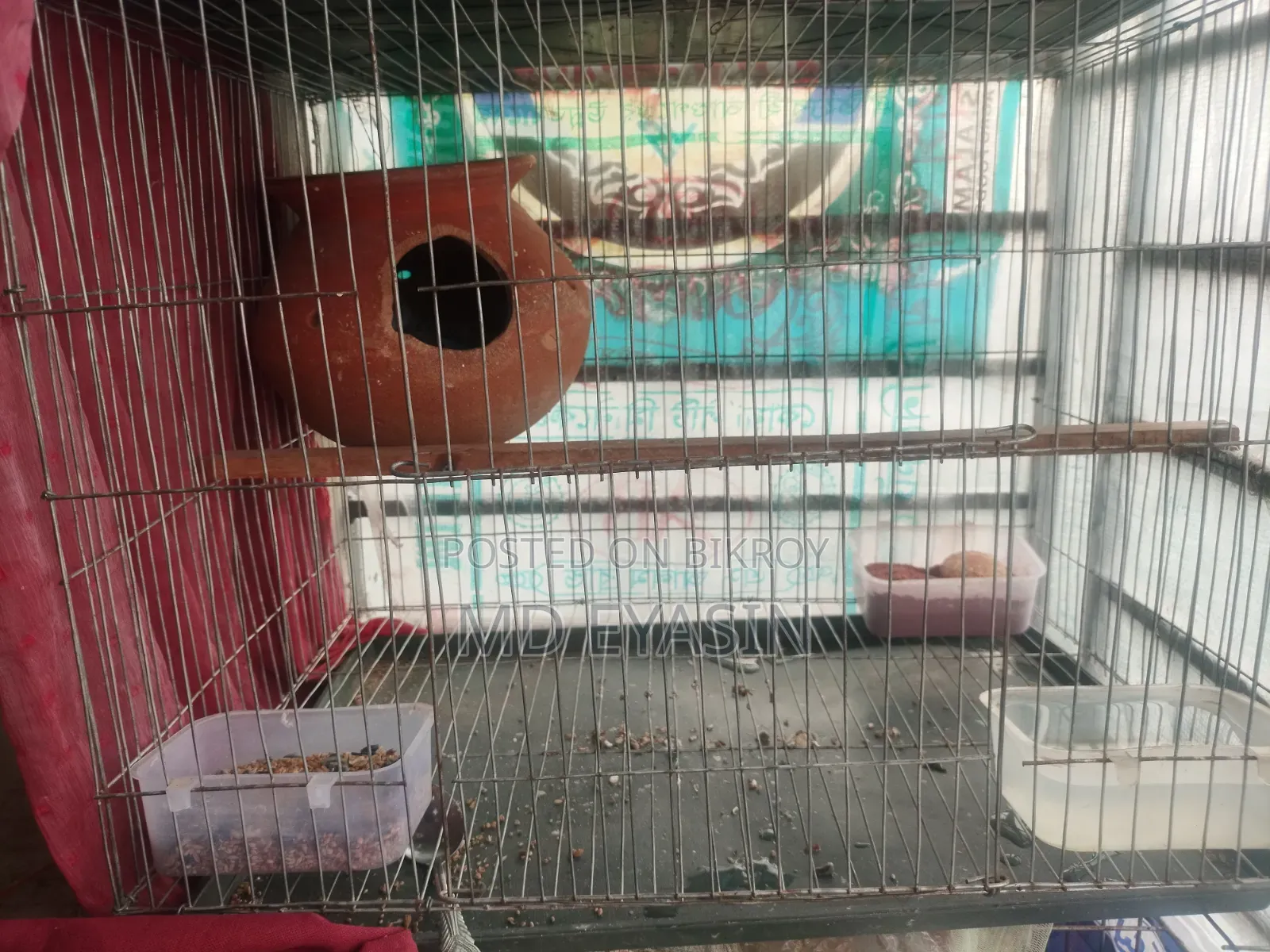 Running Pear With Baby and Cage Full Setup
