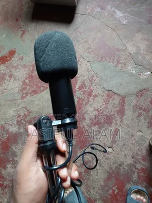Condenser Microphone