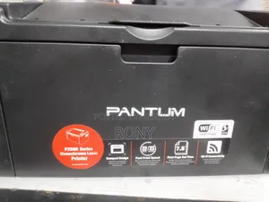 Printer Pantum Laser