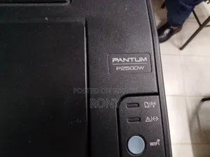 Printer Pantum Laser