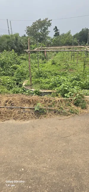 Rajuk Purbachal 54 30' Corner Plot