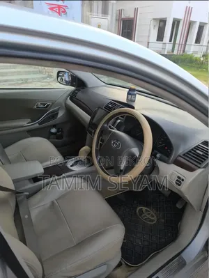 Toyota Premio 2010 Gray