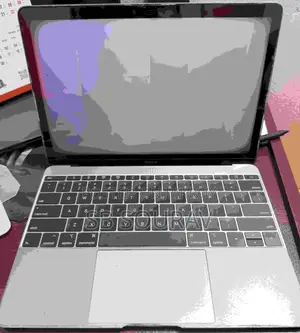 Laptop Apple MacBook 2015 8GB Intel SSD 256GB
