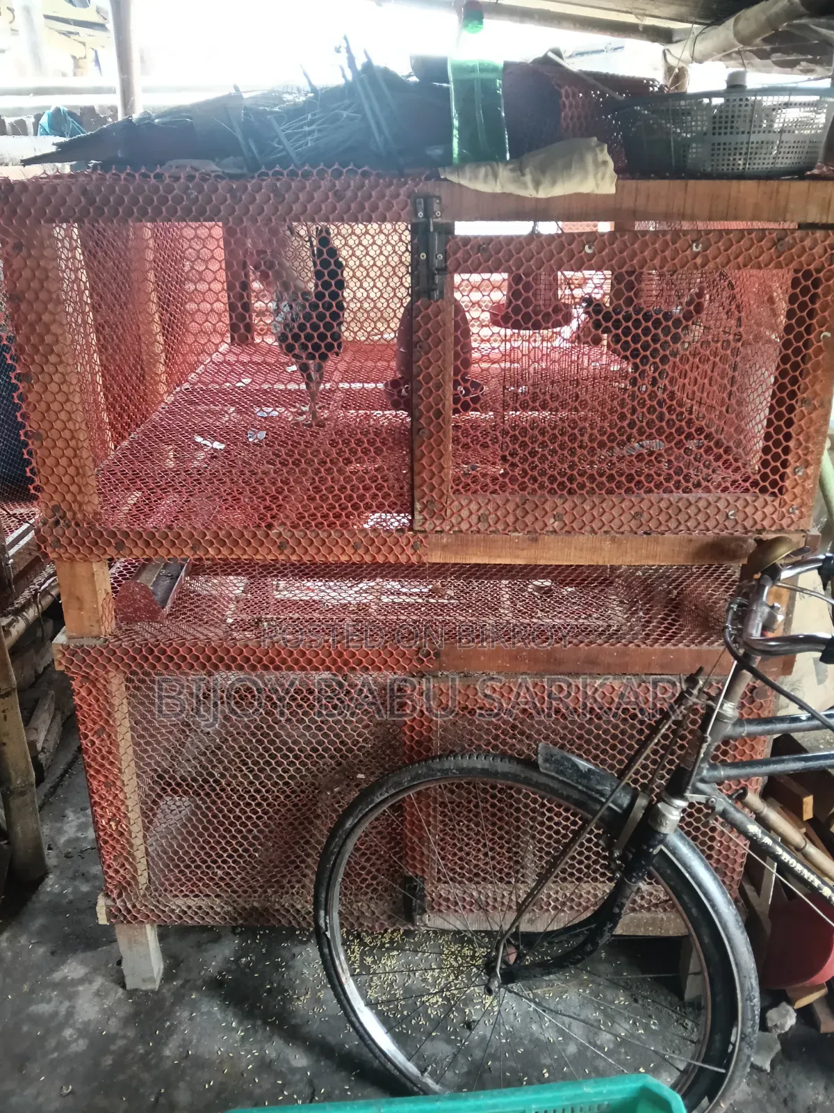 Chicken Cage