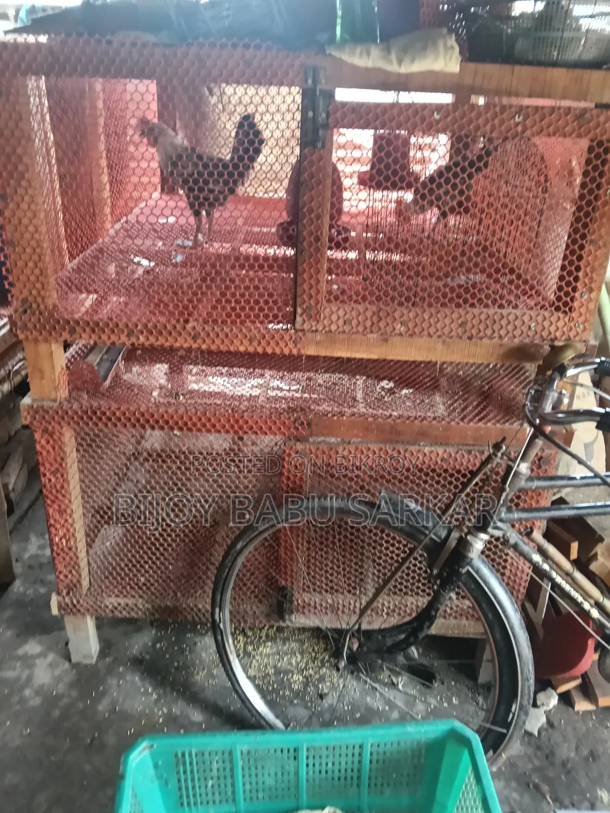 Chicken Cage