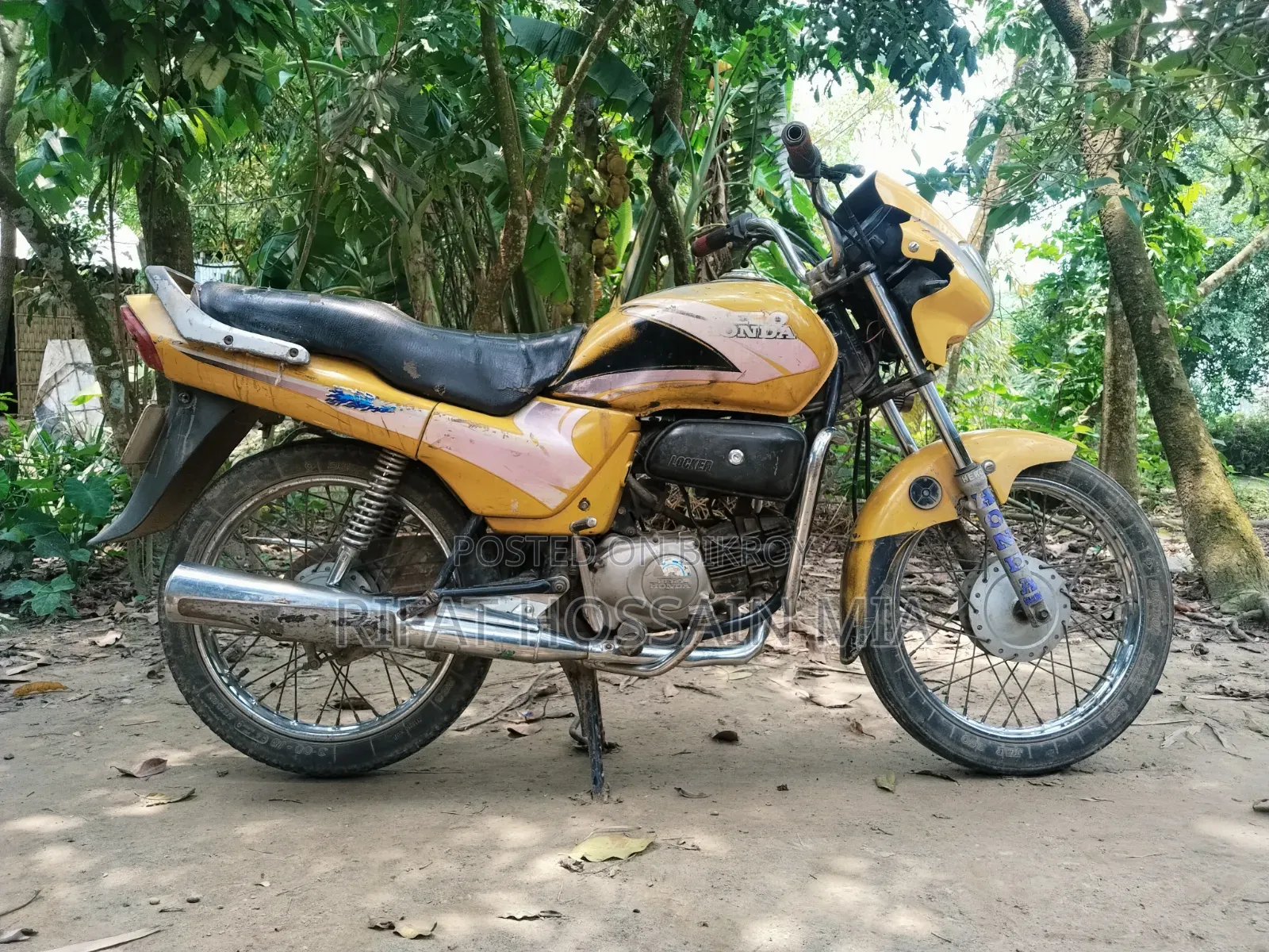 Hero 2014 Orange