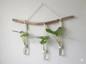 Plant Holder