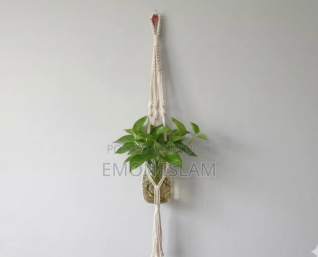 Plant Holder
