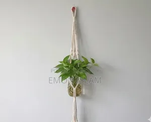 Plant Holder