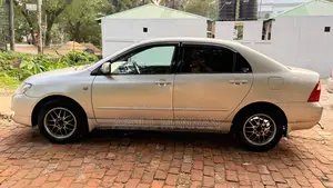 Toyota Corolla 2005 Gray