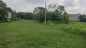 Land for Sale at a Low Price