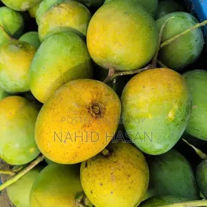 ৪,৫ টাই কেজি হিমসাগর, ল্যাংড়া, নাকফজলী,আম্রপালি, বারি-৪ আম।