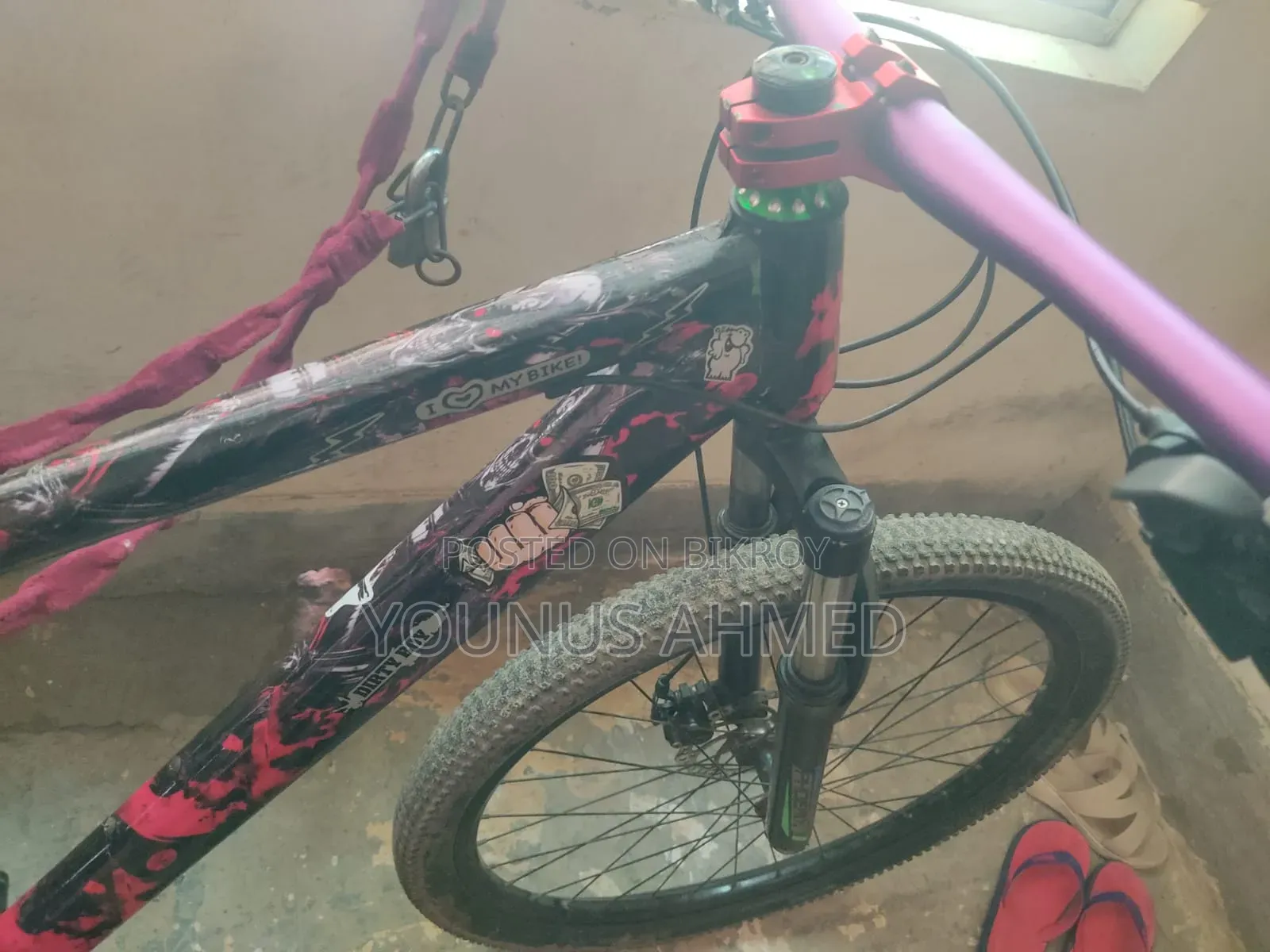 Phoenix Cycle 26'