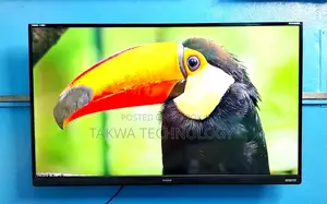Singer-43" Inch Smart Voice Control Dolby Audio Sound Systems Tv