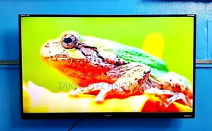 Singer-43" Inch Smart Voice Control Dolby Audio Sound Systems Tv