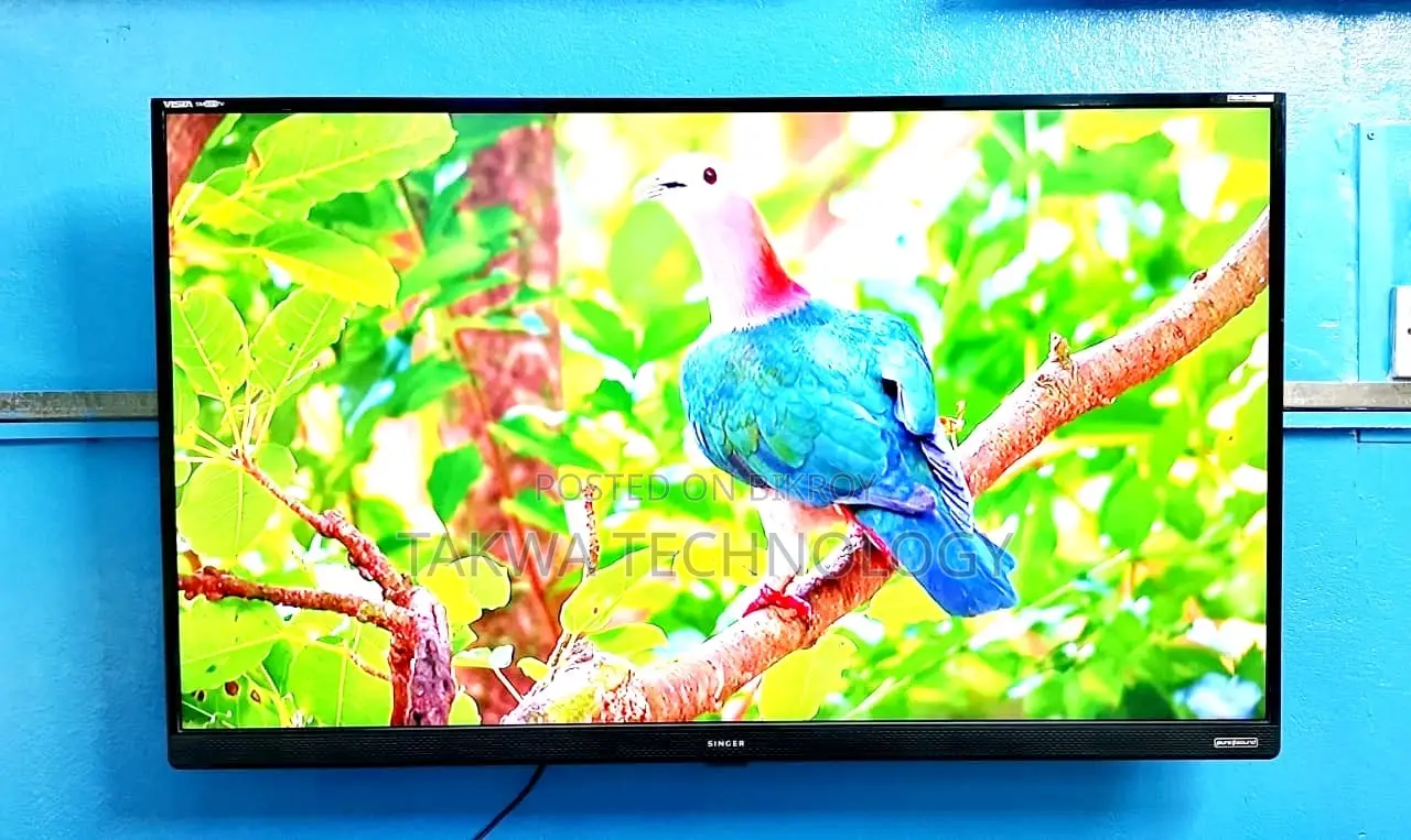 Singer-43" Inch Smart Voice Control Dolby Audio Sound Systems Tv