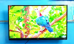 Singer-43" Inch Smart Voice Control Dolby Audio Sound Systems Tv