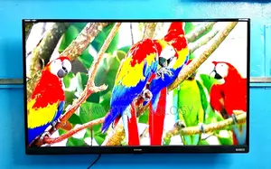 Singer-43" Inch Smart Voice Control Dolby Audio Sound Systems Tv