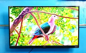 Singer-43" Inch Smart Voice Control Dolby Audio Sound Systems Tv