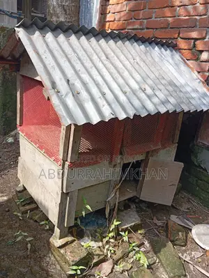 Two-Story Chicken Coop