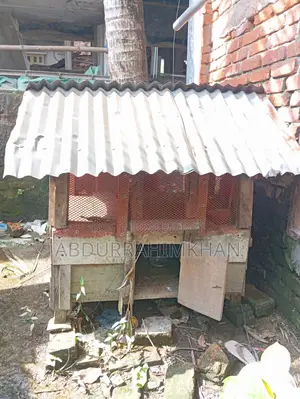 Two-Story Chicken Coop