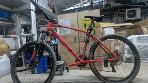 Seventy-One Warrior 2.0 MTB - Used, Good Condition