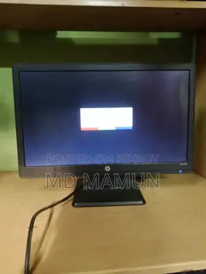 HP 19" Monitor
