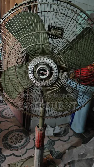 Pak Panjab Pakistani Fan