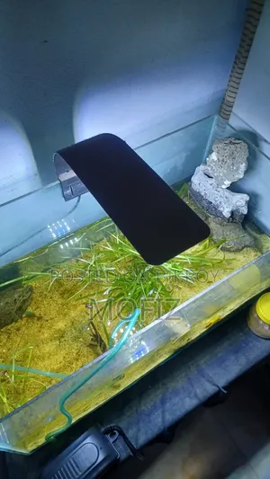 Aquarium Light