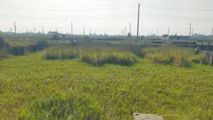 ৬ কাঠার প্লট বিক্রয় N ব্লক বসুন্ধরা আবাসিক ।