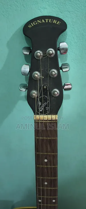 সিগনেচার গিটার (অরিজিনাল)