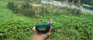 Xiaomi Redmi 8A Pro 32 GB Blue