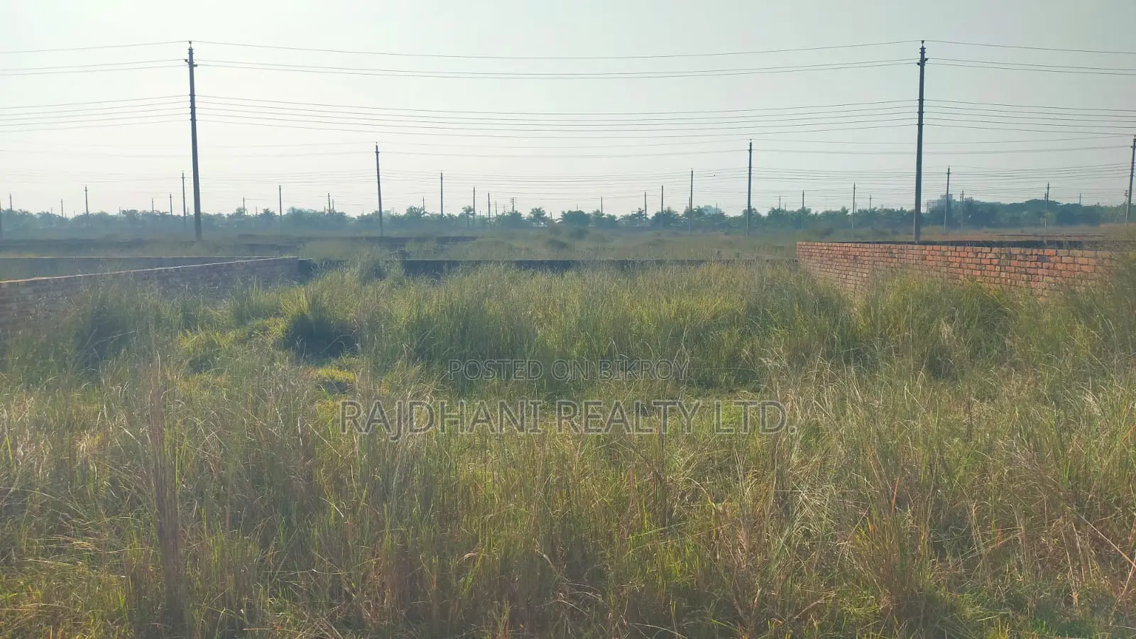 ১০ কাঠার প্লট বিক্রয় হবে