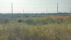 ১০ কাঠার প্লট বিক্রয় হবে