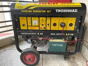 Tiger Generator 6.5 Kva