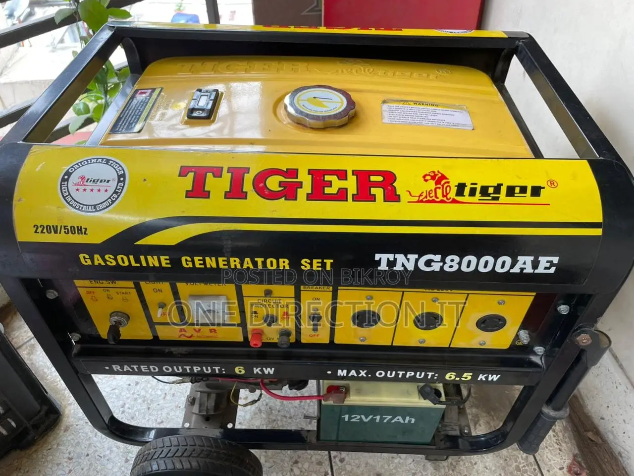 Tiger Generator 6.5 Kva