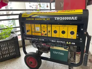 Tiger Generator 6.5 Kva