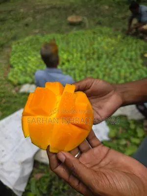 কেমিক্যালমুক্ত গোবিন্দভোগ আম- সমগ্র বাংলাদেশে ডেলিভারি