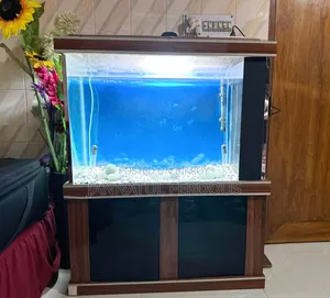 Large Fish Aquarium