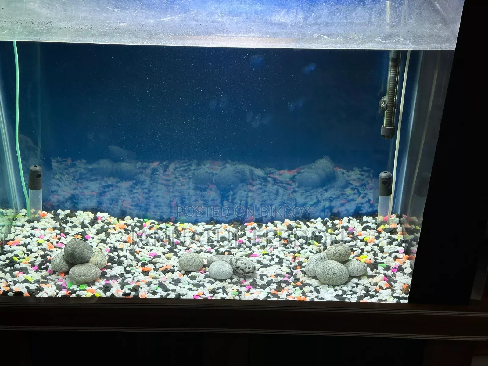 Large Fish Aquarium